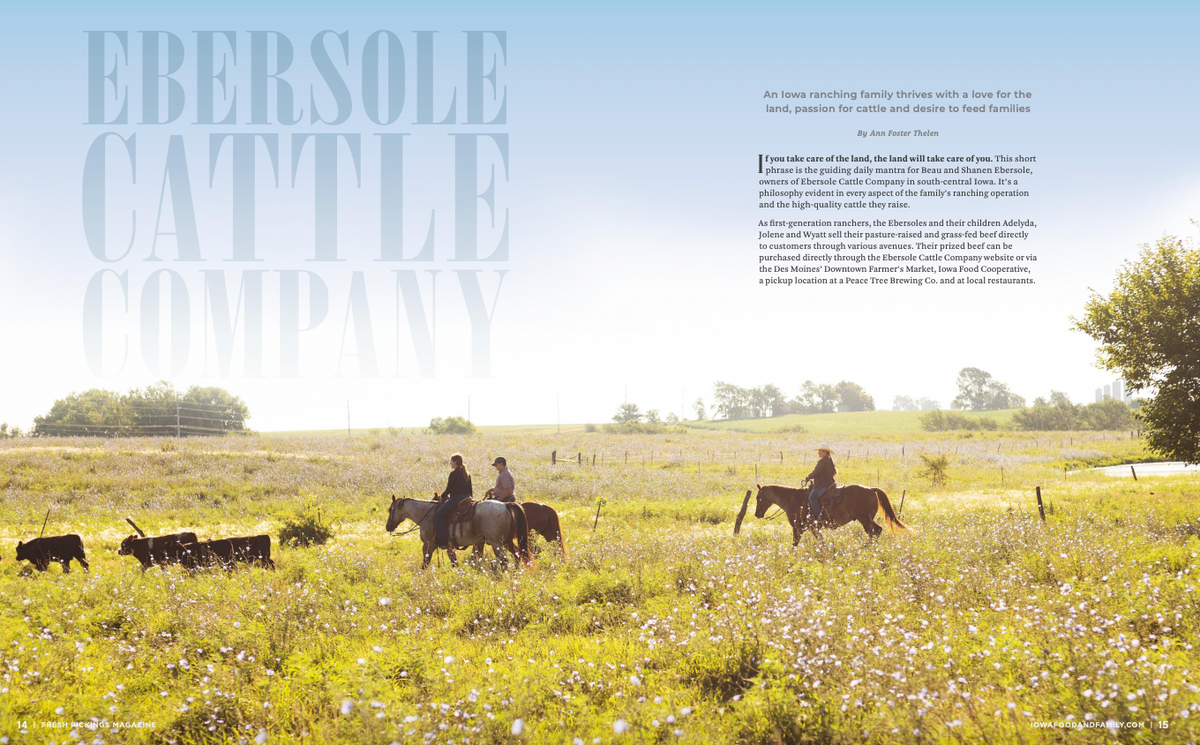 Why is Regenerative Ranching GOOD for the environment?