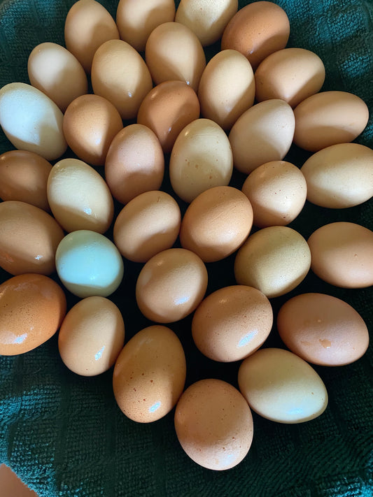 EGGS -  ADD ON to your delivery!! DES Moines Metro Only
